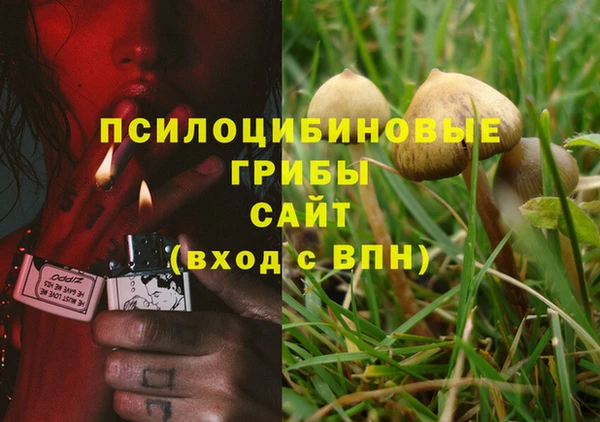 альфа пвп Богородск