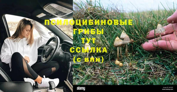 эйфоретик Майский